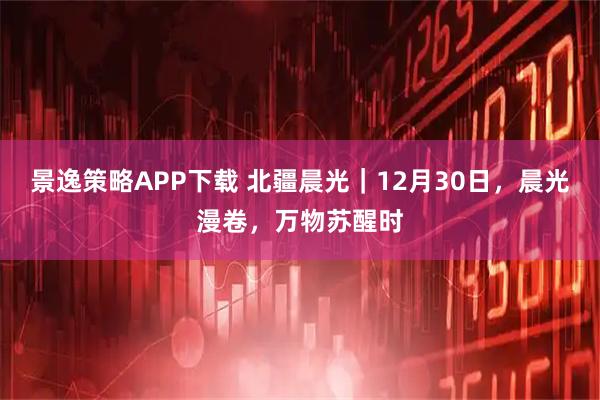 景逸策略APP下载 北疆晨光｜12月30日，晨光漫卷，万物苏醒时