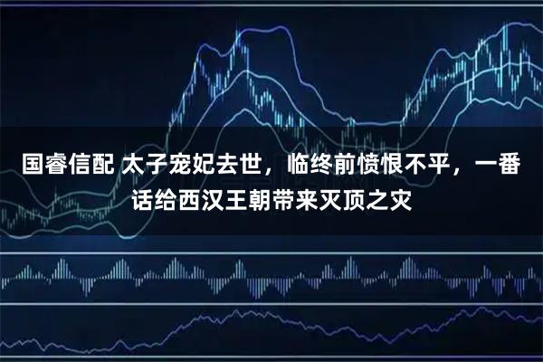 国睿信配 太子宠妃去世，临终前愤恨不平，一番话给西汉王朝带来灭顶之灾