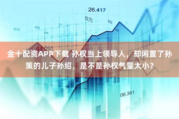 金十配资APP下载 孙权当上领导人，却闲置了孙策的儿子孙绍，是不是孙权气量太小？